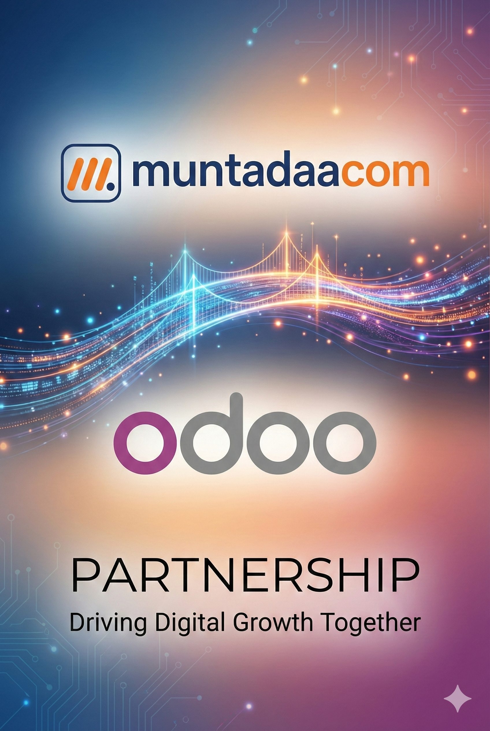 Odoo Expert Team